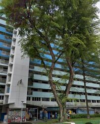 Brickworks Estate (D3), Shop House #602687241